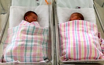 BLOG: Life Update: Meet my babies (Nourish Every Day)