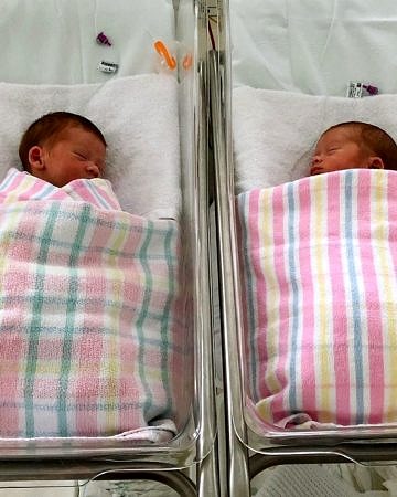 BLOG: Life Update: Meet my babies (Nourish Every Day)
