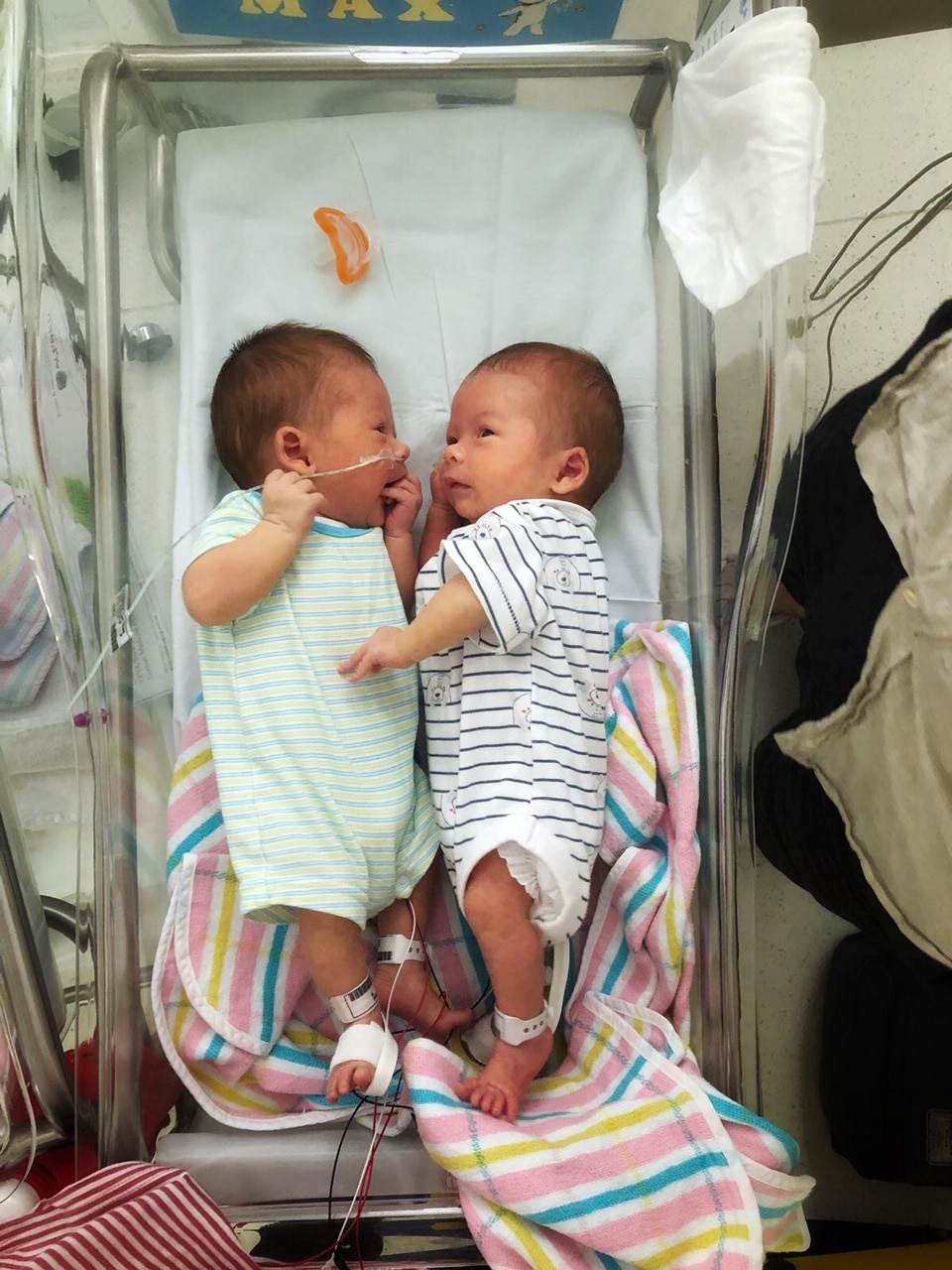 BLOG: Life Update: Meet my babies (Nourish Every Day)